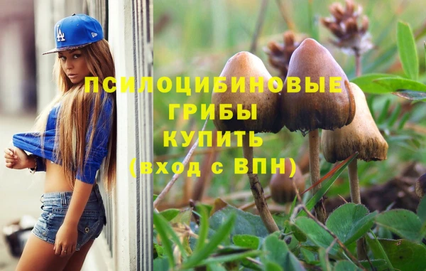 круглые Михайловск